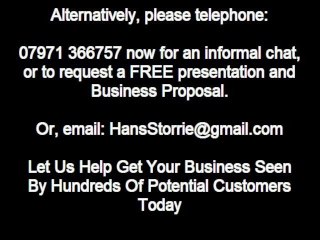 Local Search Marketing Consultant