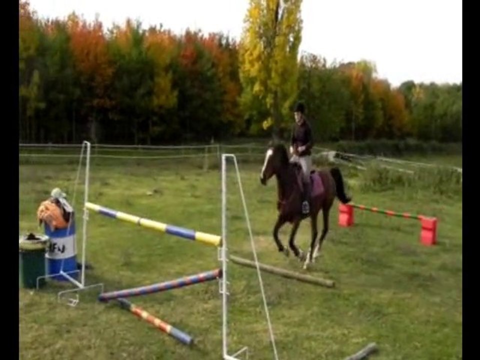 2010, les meilleurs moments