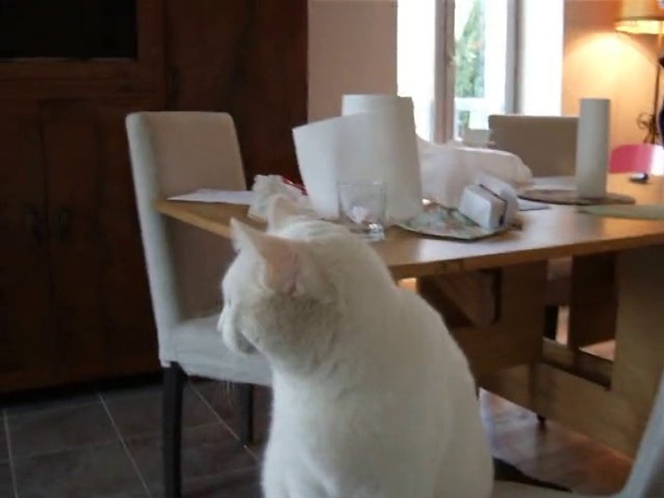 Titou