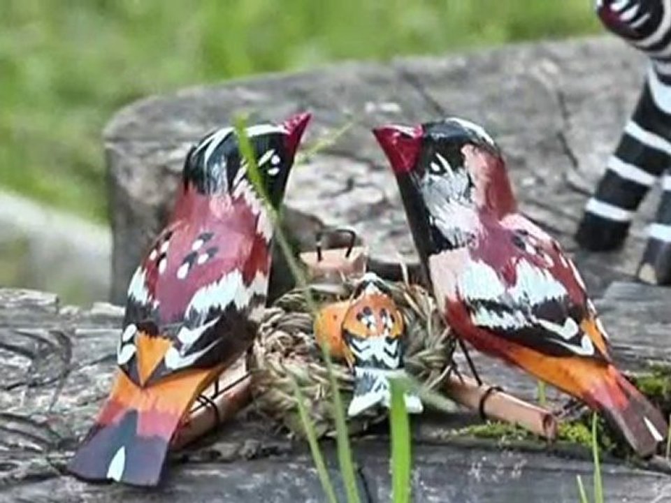 Szlaki Podbabiogorza 2