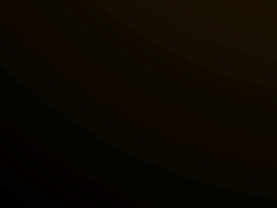 Meilleurs Voeux pour 2011 - Chasing Films Ltd.