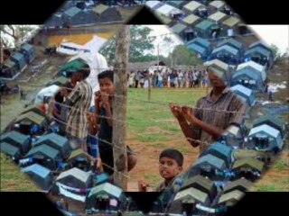 Bonne Année 2011 à tous