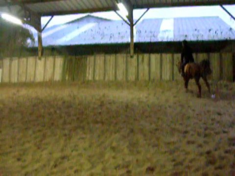 Tsar 01.01.2011 avec Rênes allemandes