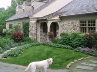 Homes for Sale - 24  Saint Malachi Road - Cochranville, PA 19330-9481 - John Hannum