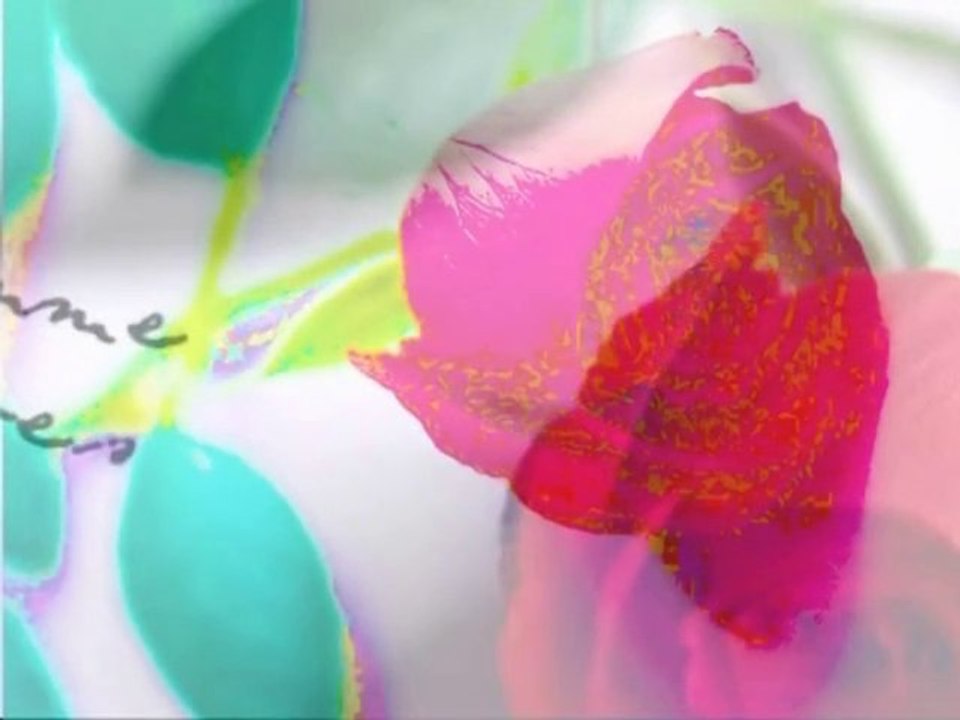 Extrait du clip La femme de mes rêves