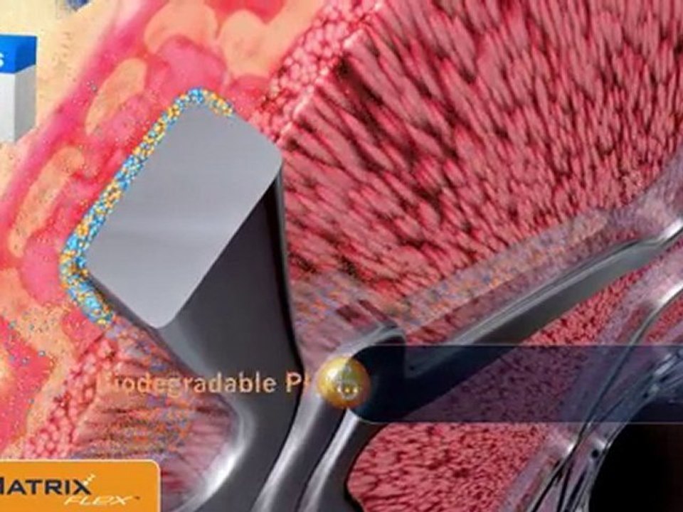Biomatrix Flex