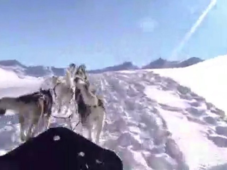 Lubin en chiens de traîneaux