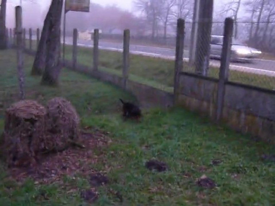 01.01.11 video beauce et braque 074