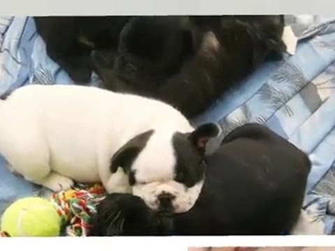 Nos premiers petits bouts