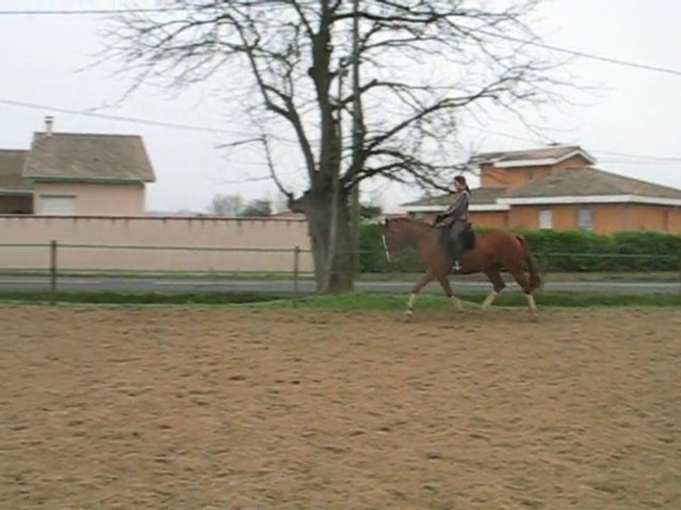 hoara