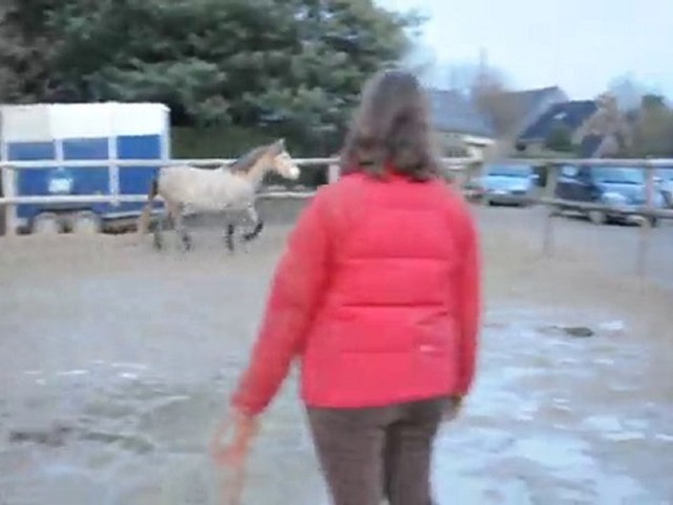 Trot main D