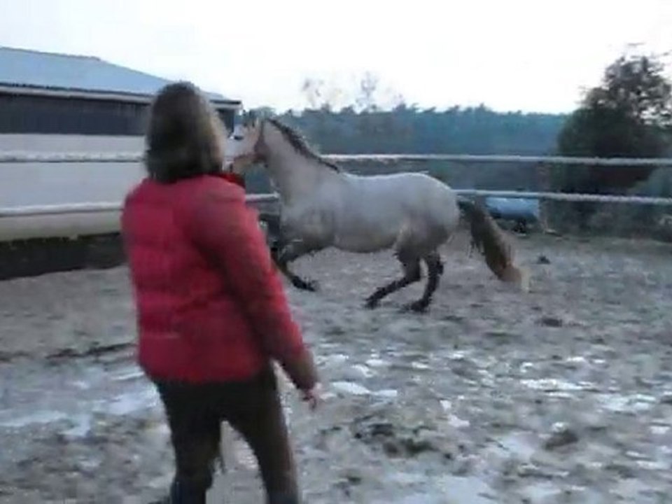 Galop main G