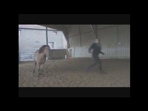 SUN - Séance Ethologie 2 janvier 2011