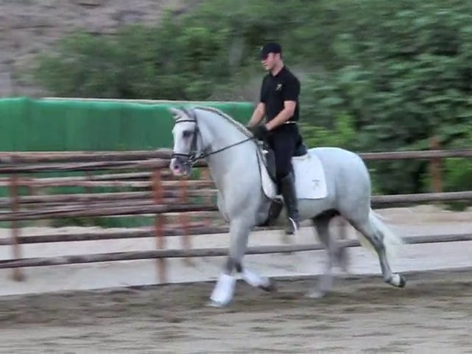 Almonteño LXII 02092010
