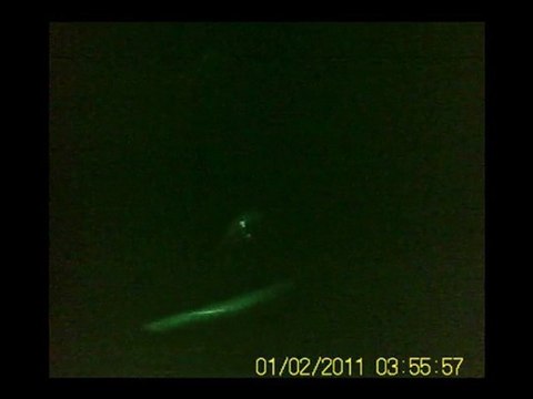 Antalya Aksu Çayı Serik Ve Manavgat Çayı