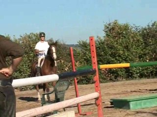 Cahiers de dressage (tome2) d'Orgeix Nathalie