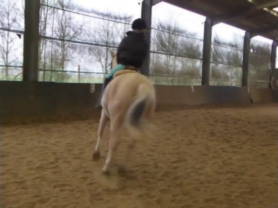 Océane équitation Naveil