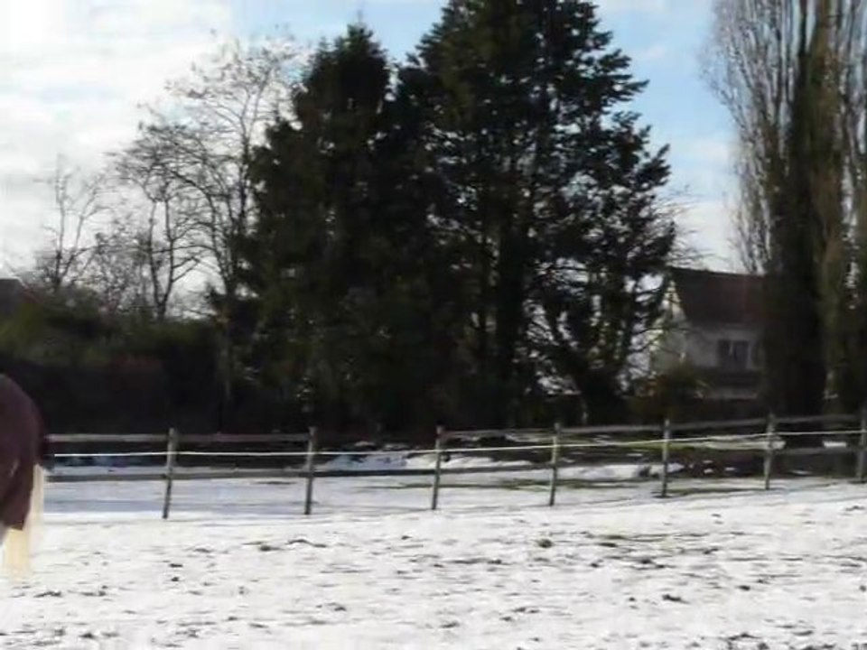 ferme 2janv2011 009