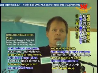 Exploring the Intriguing Inner Lives of Animals  - P1/3