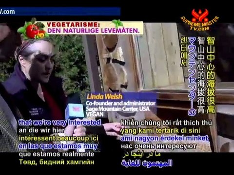 Sage Mountain Center: A Sustainable Haven - P1/2