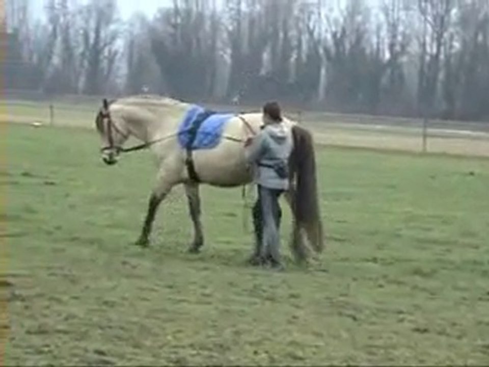 Quéré aux Longues rènes le 31.12.2010