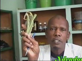 Pulaar Docteur Aliou Ba