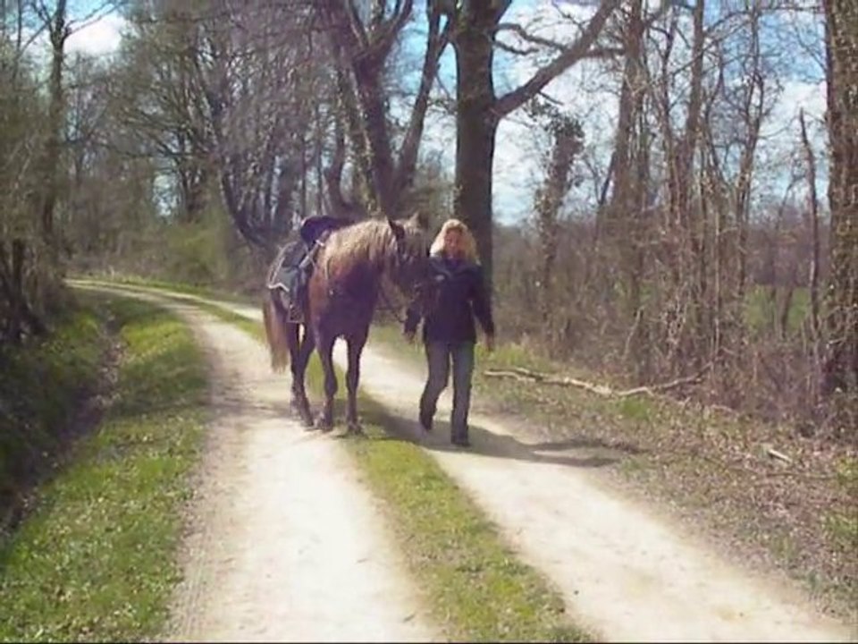 Stetson au retour