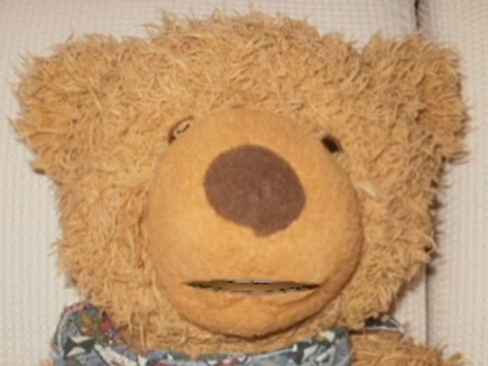teddybaer