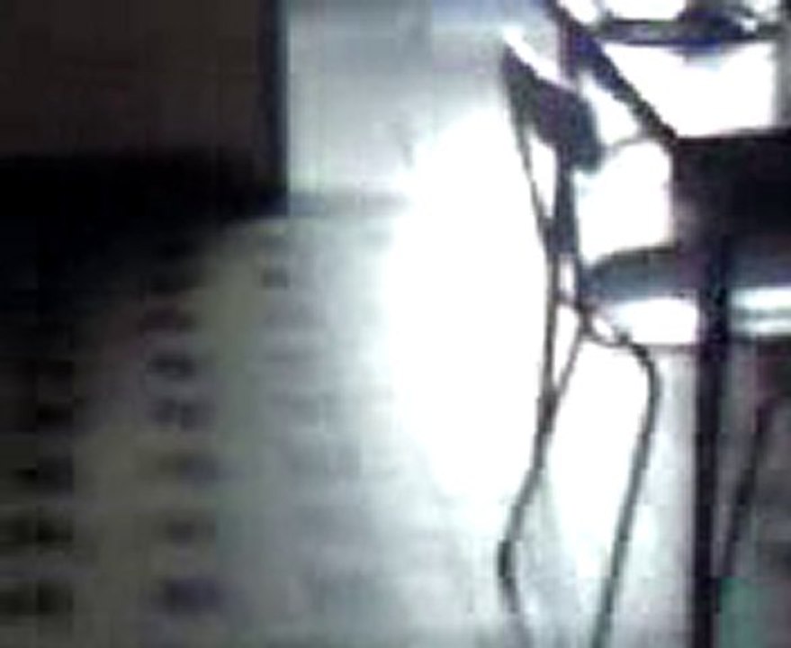mon chat video 2