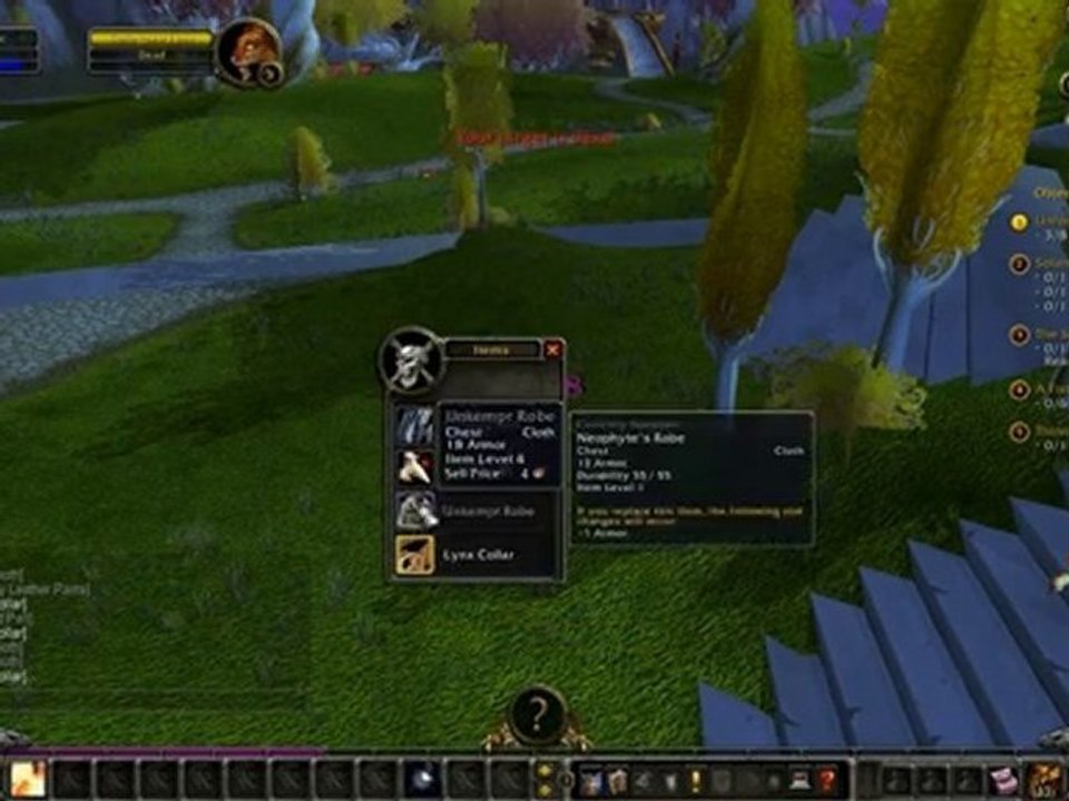 World of warcraft - Blood Elf Priest pwn !