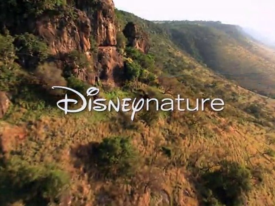 African Cats - Disney Nature Series - 2011 HD Movie Trailer
