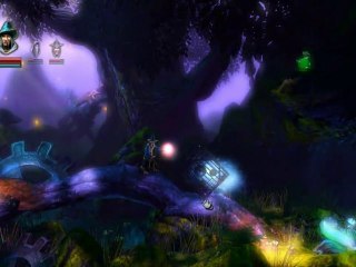 Trine [9] : La Forêt de Fangle