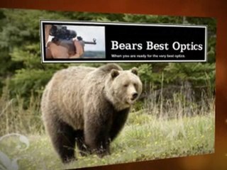 Bushnell Scopes from BearsBestOptics.com
