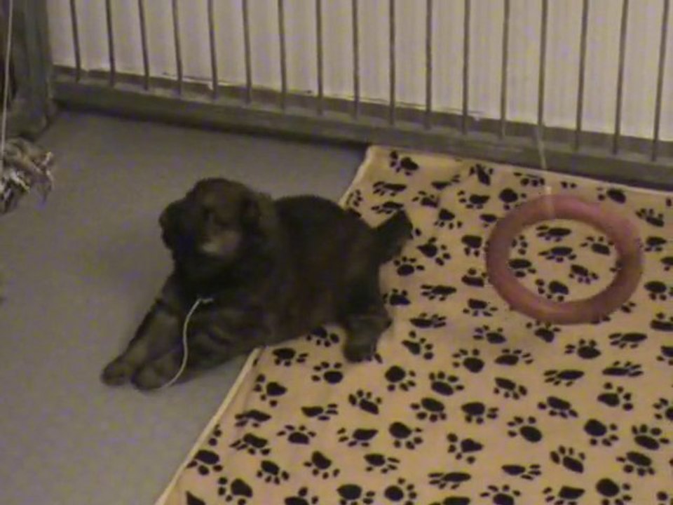 Premiers jeux (2)