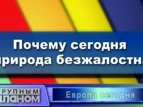 Почему сегодня природа безжалостна