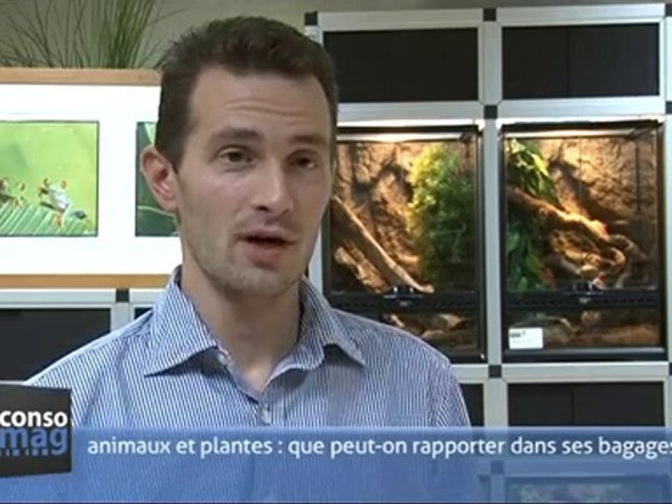 Animaux et plantes : que peut-on rapporter dans ses bagages