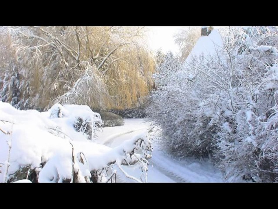 En attendant 2012,Bonne Année 2011!