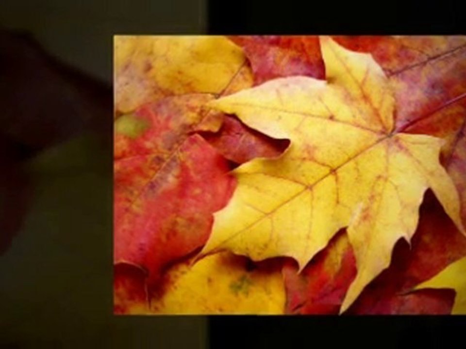 Local small business internet marketing,Advertising