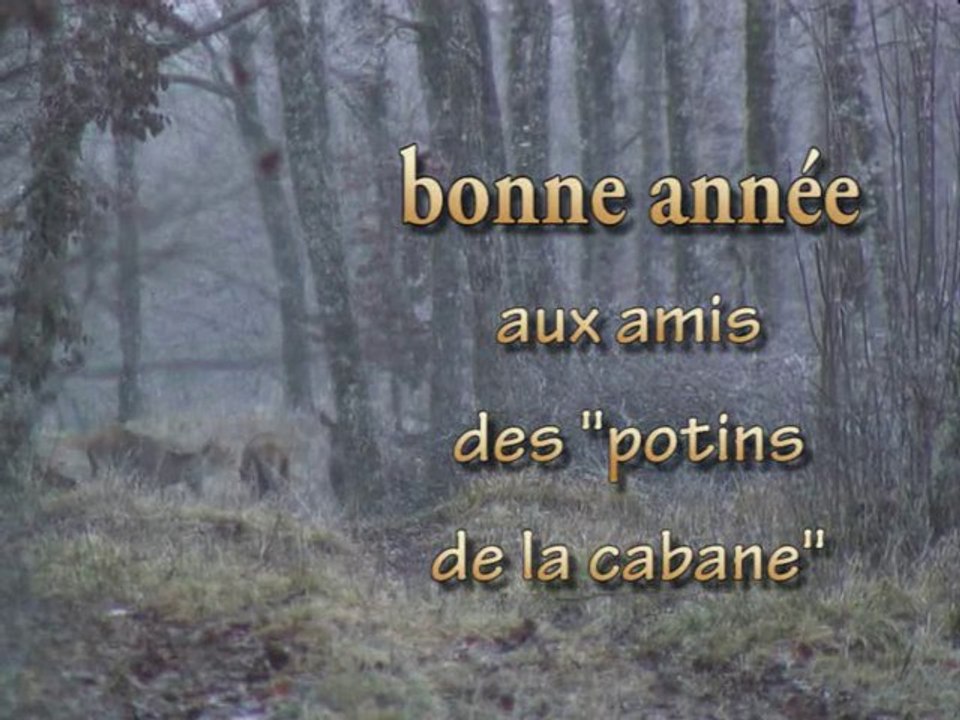 bonne année