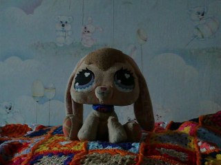 Praline-TV Bonne année 2011