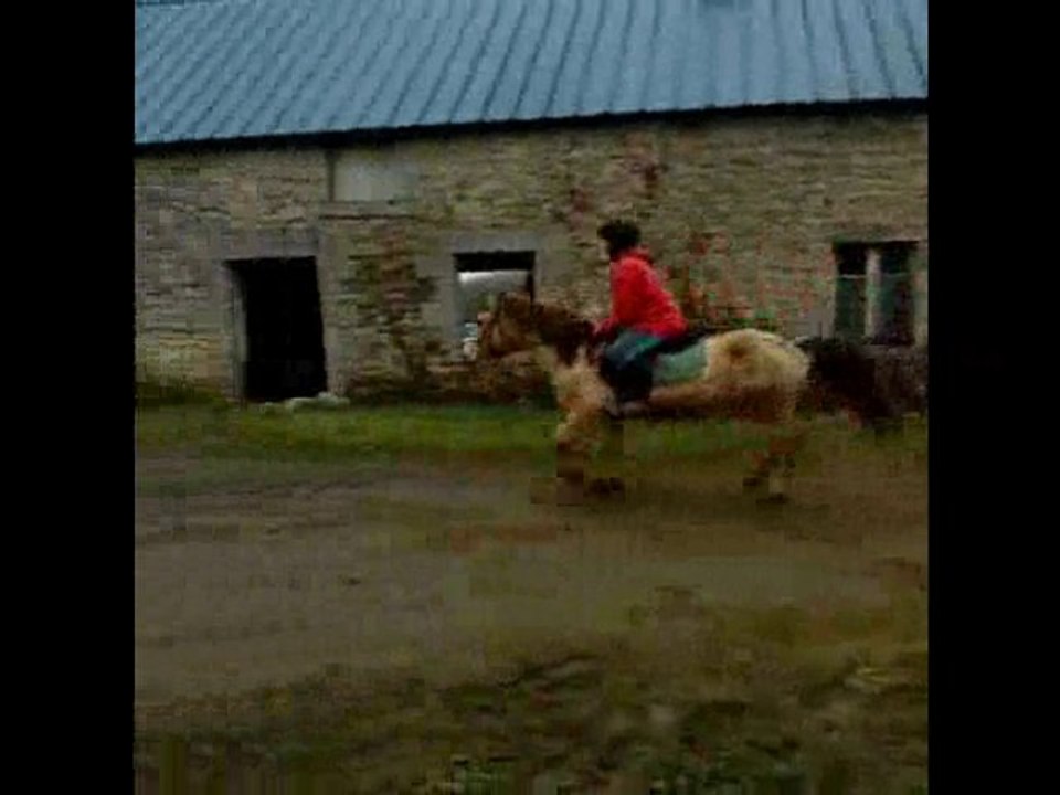 Jaslem décembre 2010