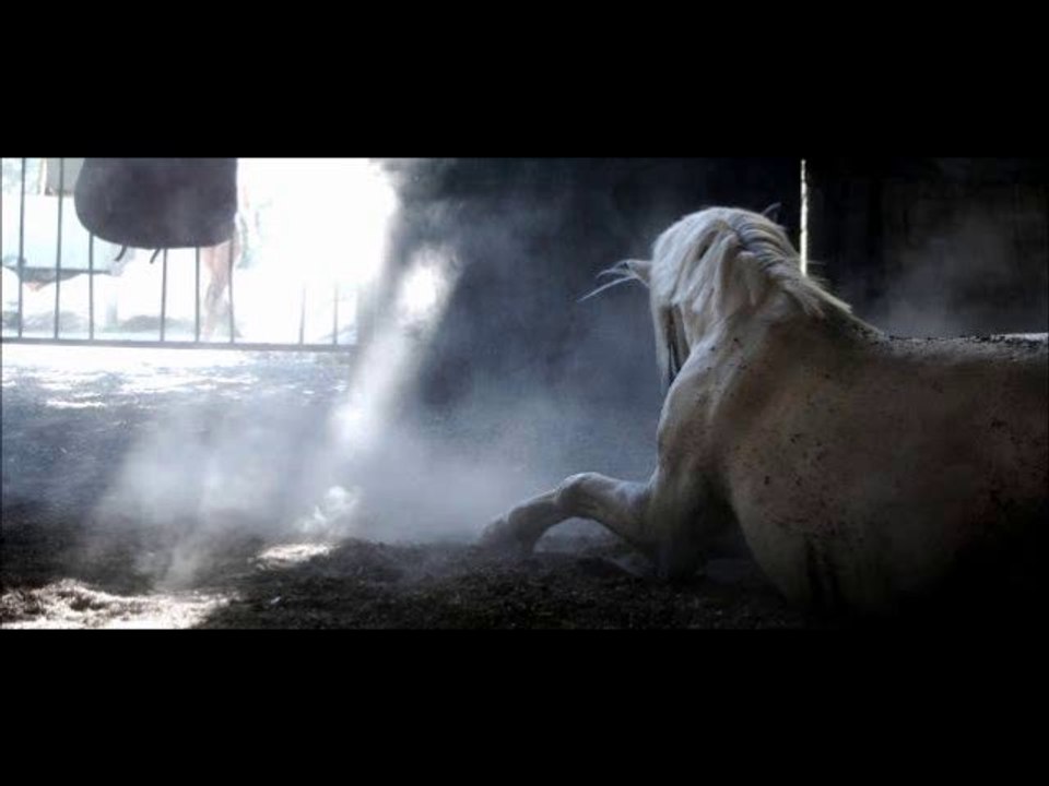 Kerguélen équitation - Dimanche 2 Janvier 2011