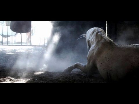 Kerguélen équitation - Dimanche 2 Janvier 2011