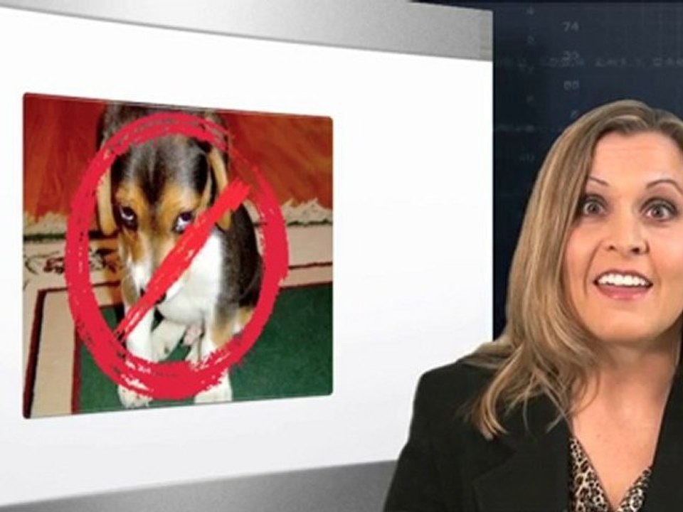 Bankruptcy Lawyers in San Diego California Video 01 "what i