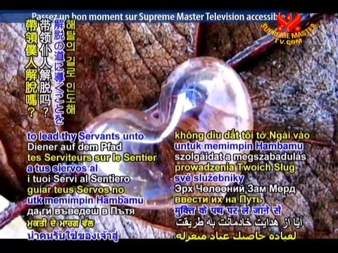 From Theosophy's Sacred Teachings - P2/3