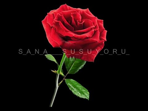 Film=SANA SUSUYORUM=MEHMET SANCAK=ŞİİR VİDEO