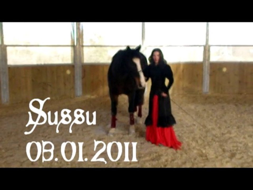 sussu 03 11 2011