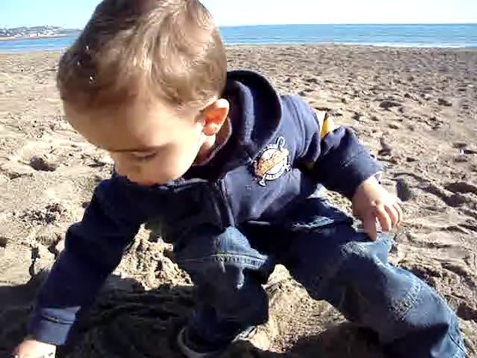 bonne année 2011