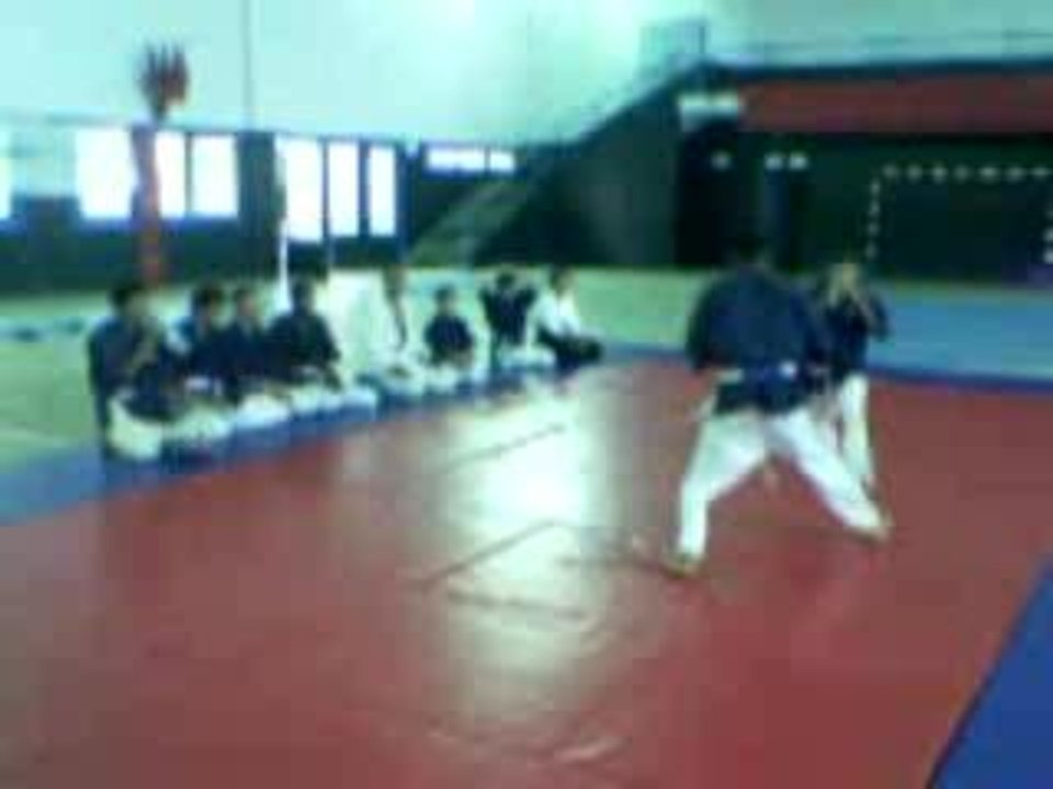 Démonstation de Yoseikan budo