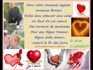 Demande en Mariage decembre 2010